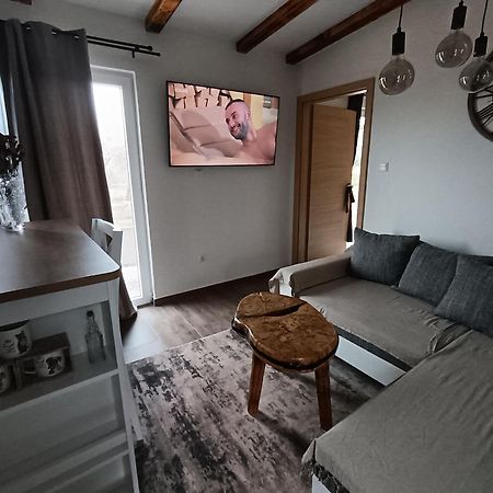 Cattleya Apartamento Novigrad Istria Exterior foto