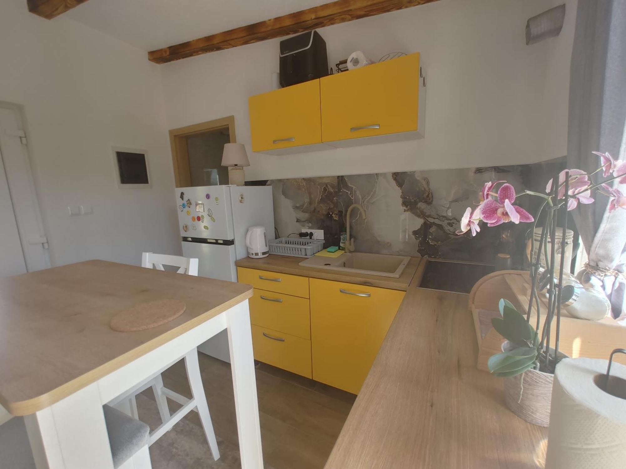 Cattleya Apartamento Novigrad Istria Exterior foto